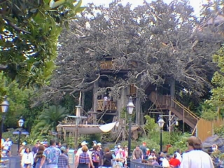 DL Treehouse